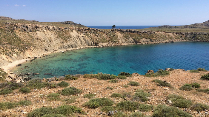 The exceptional sedimentary rocks exposed along the Lindos Bay on the island of Rhodes (Greece) hold fossil archives of the ecosystem and climatic conditions in the eastern Mediterranean hundreds of thousands of years ago. From these, researchers isolated otoliths to reconstruct the fish fauna at that time.