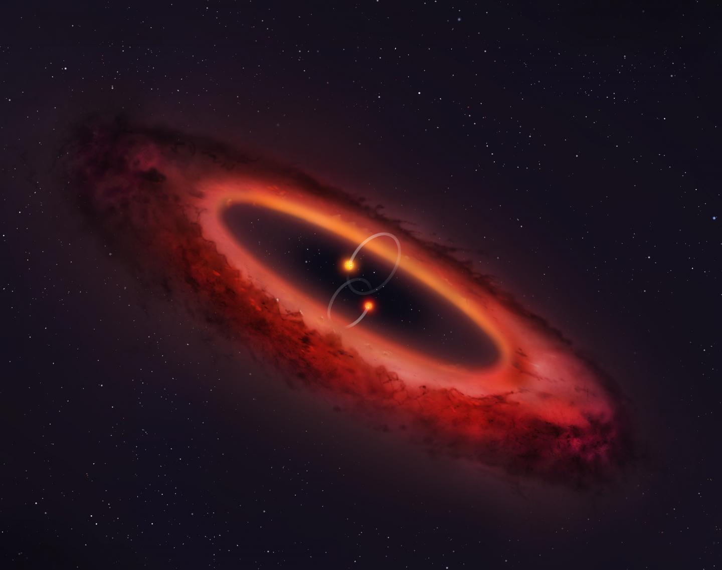View of the Double Star System and Surrounding Disc
