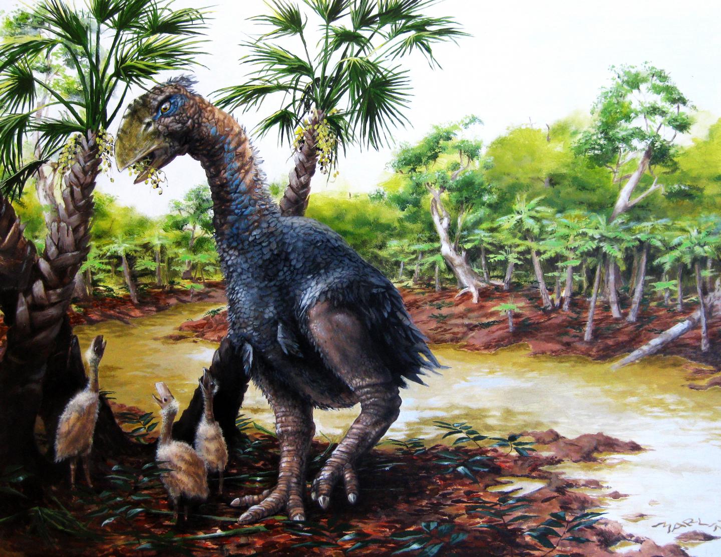 <em>Gastornis</em>