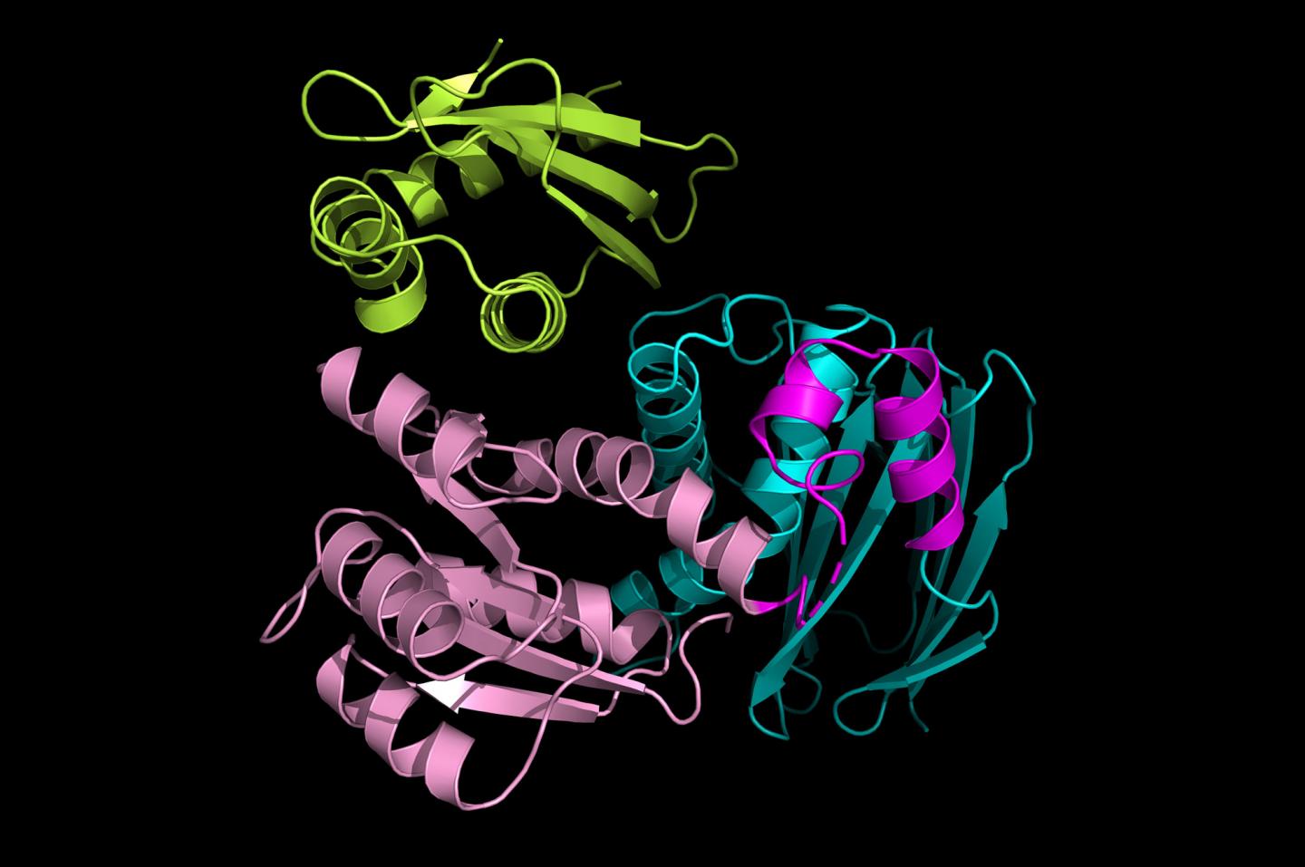 Structure of IraD Bound RssB