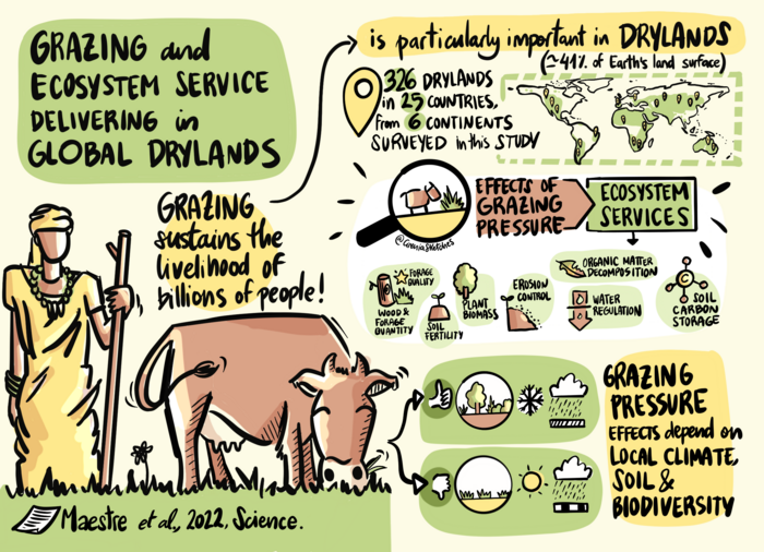 Grazing and ecosystem service delivering in global drylands