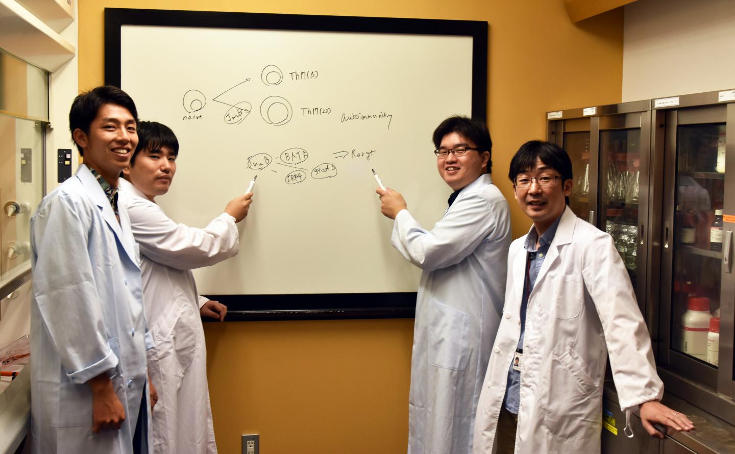 Members of the OIST Immune Signal Unit and Authors of the Study