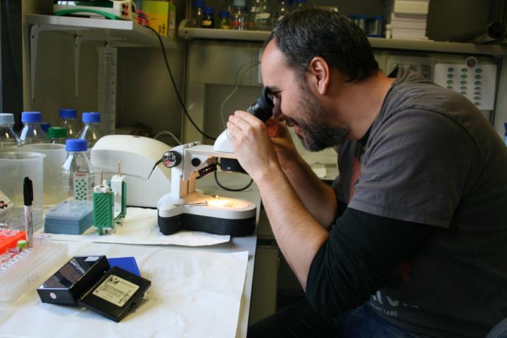 Felipe Cortés, University of Seville