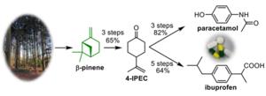 Conversion of β-pinene into paracetamol and ibuprofen