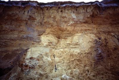 New Jersey Pine Barrens