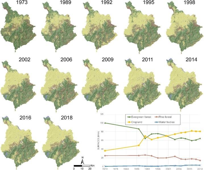 Vietnam Deforestation