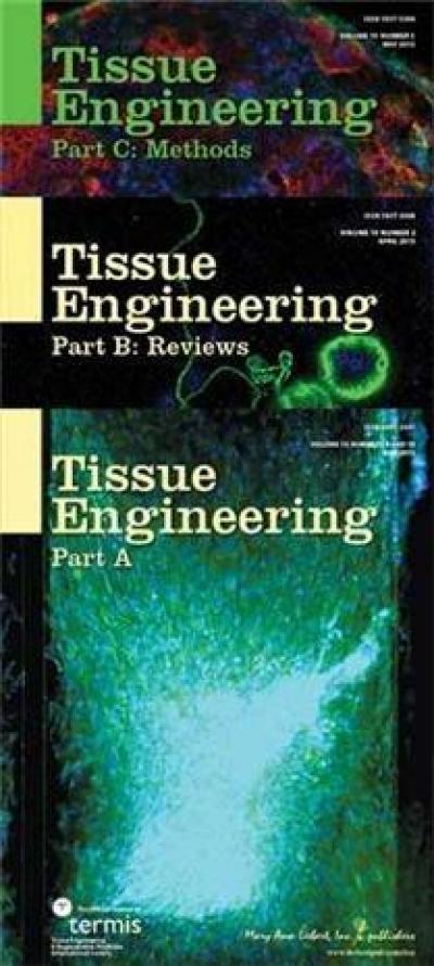 <I>Tissue Engineering</I>