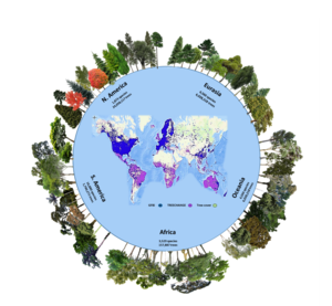 The number of tree species and individuals per continent in the GFBI database