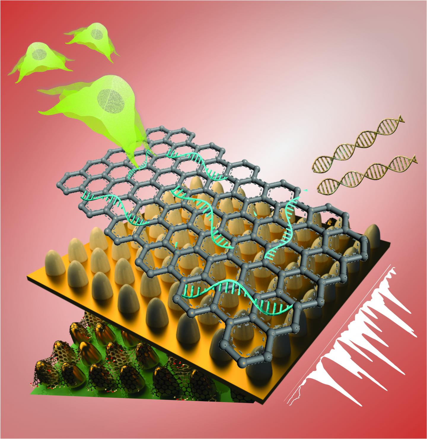 Biosensor for Stem Cells