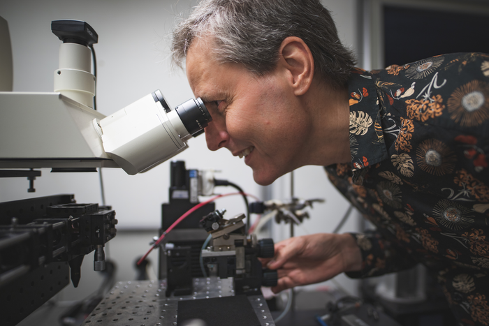 Anders Fridberger, Linköping University.