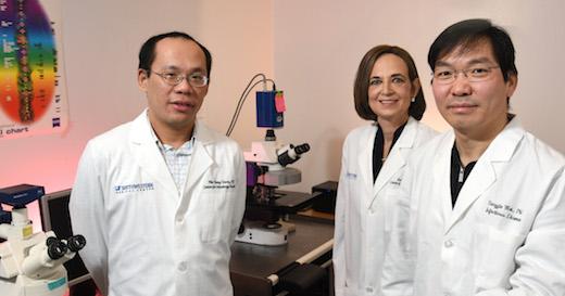 Dr. Wei-Chung 'Daniel' Chiang, Dr. Beth Levine, and Dr. Yongjie Wei, UT Southwestern Medical Center