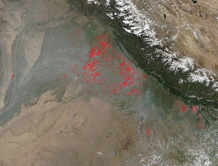 Agricultural Fires in the Punjab State