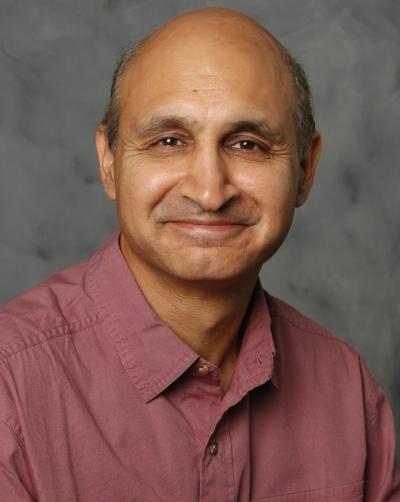 Naveen Khanna, Michigan State University