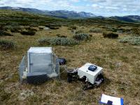 Measuring Carbon Fluxes in the Norwegian Mountains