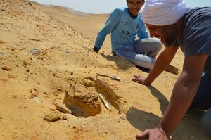 Prof. Sallam, the senior author and a Sallam Lab team member during the discovery expedition