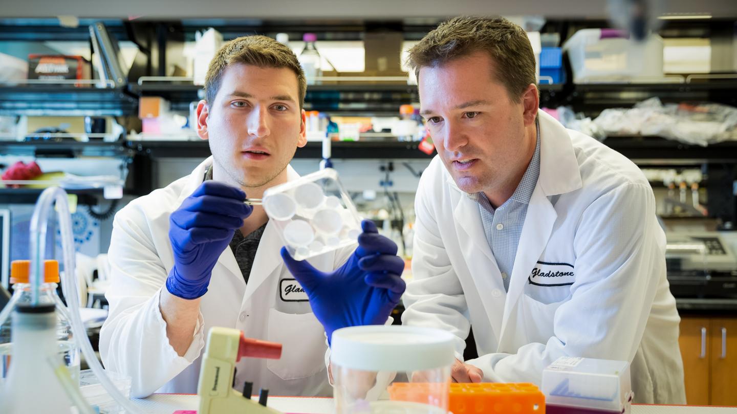 Josh Zimmerman and Todd McDevitt, Gladstone Institutes