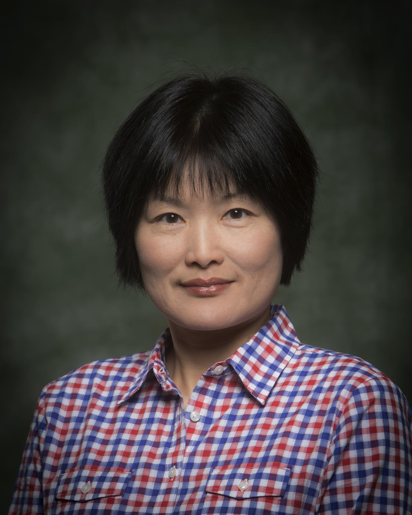 Sha Jin, Binghamton University