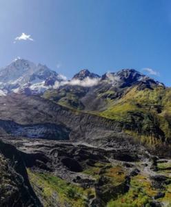 Takakia in the Himalayas CREDIT Dr. Ruoyang Hu