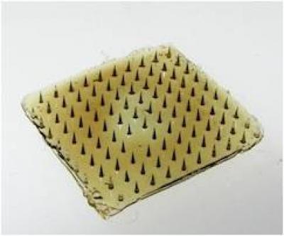 Bio-Inspired Flexible Microneedle Adhesive Patch