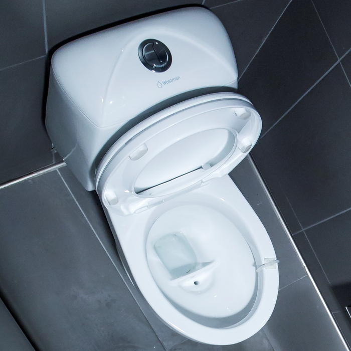 Urine-diverting toilets expel fewer virus particles than traditional toilets, study suggests