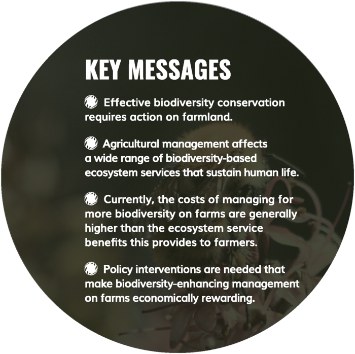 SHOWCASE Policy brief: Key messages