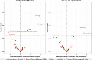 Exposome-wide association study of environmental chemical exposures and epigenetic aging in the national health and nutrition examination survey