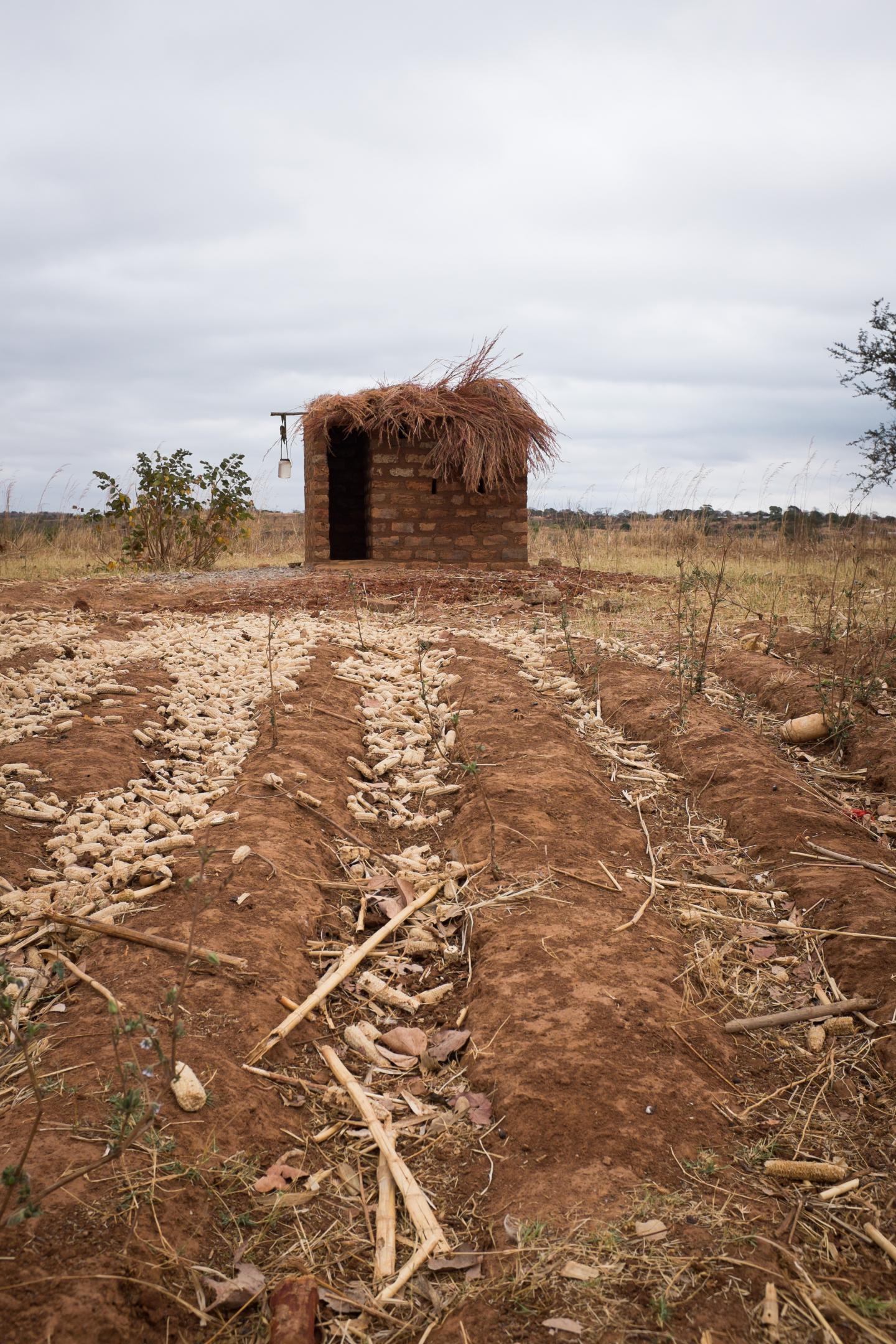 Sanitation Access Linked to Children's Growth and Health