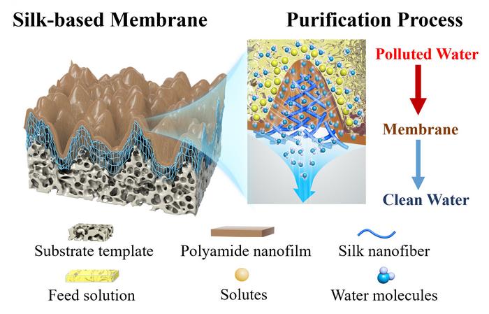 Figure 1. Structure of silk-based nanofiltration membrane and schematic diagrams of the corresponding filtration process