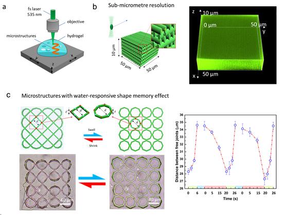 Figure |Two-Photon Polymerization of Shape Memory Microstructures Using a Green Laser Beam