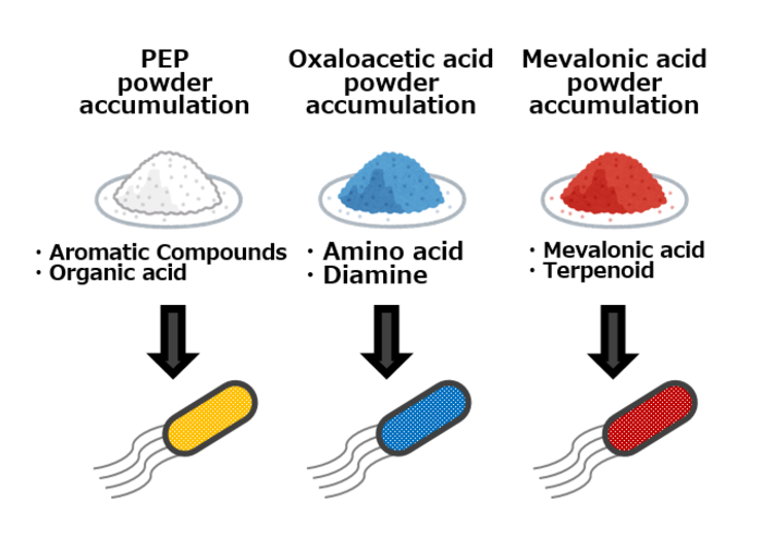Figure 4: Diagram showing ‘metabolic spice’ techniques