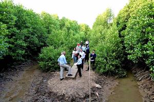 Researchers in the Mekong Delta