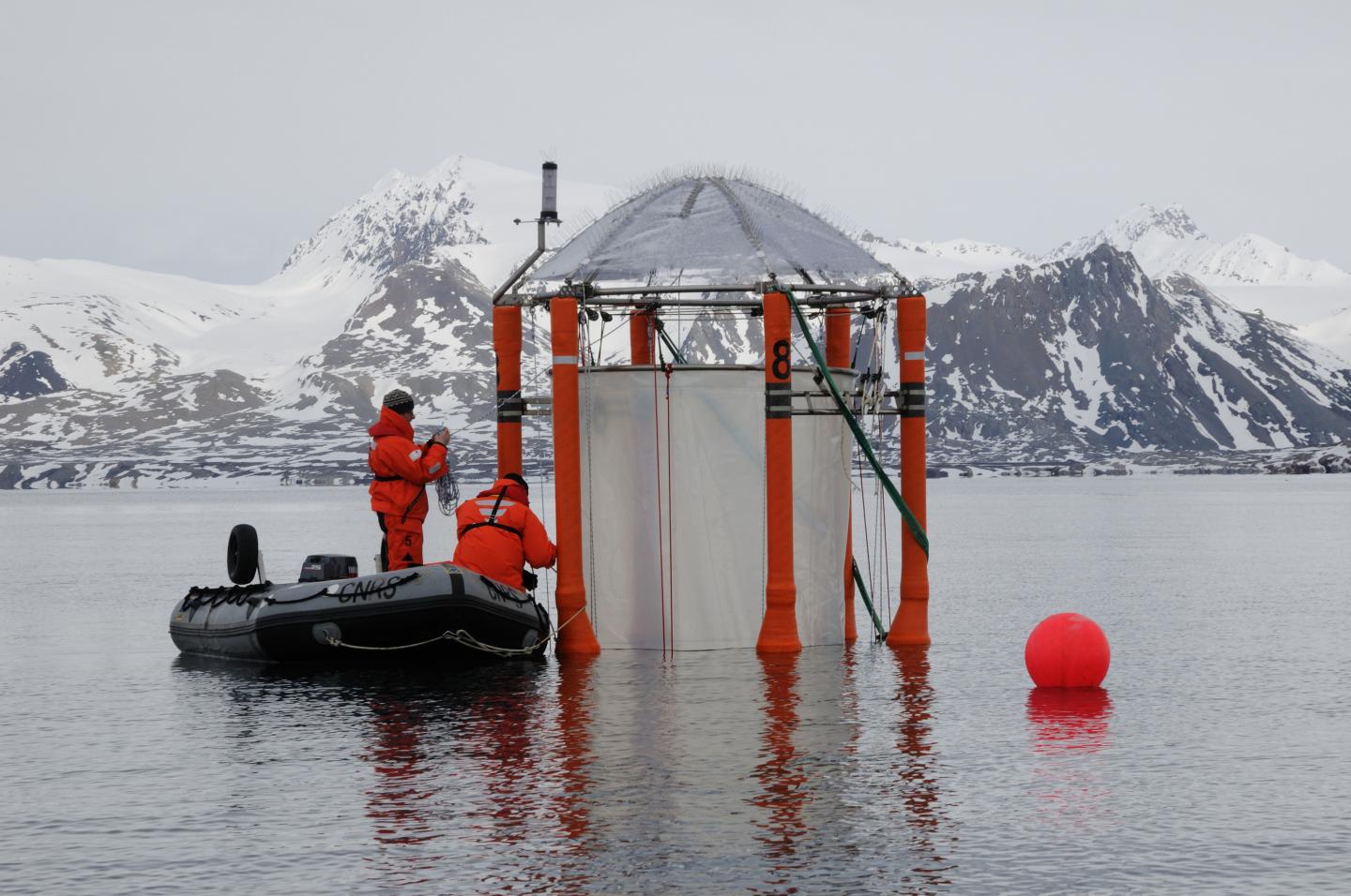 Ocean Acidification Experiment