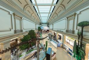 “David H. Koch Hall of Fossils—Deep Time”  at the Smithsonian's National Museum of Natural History