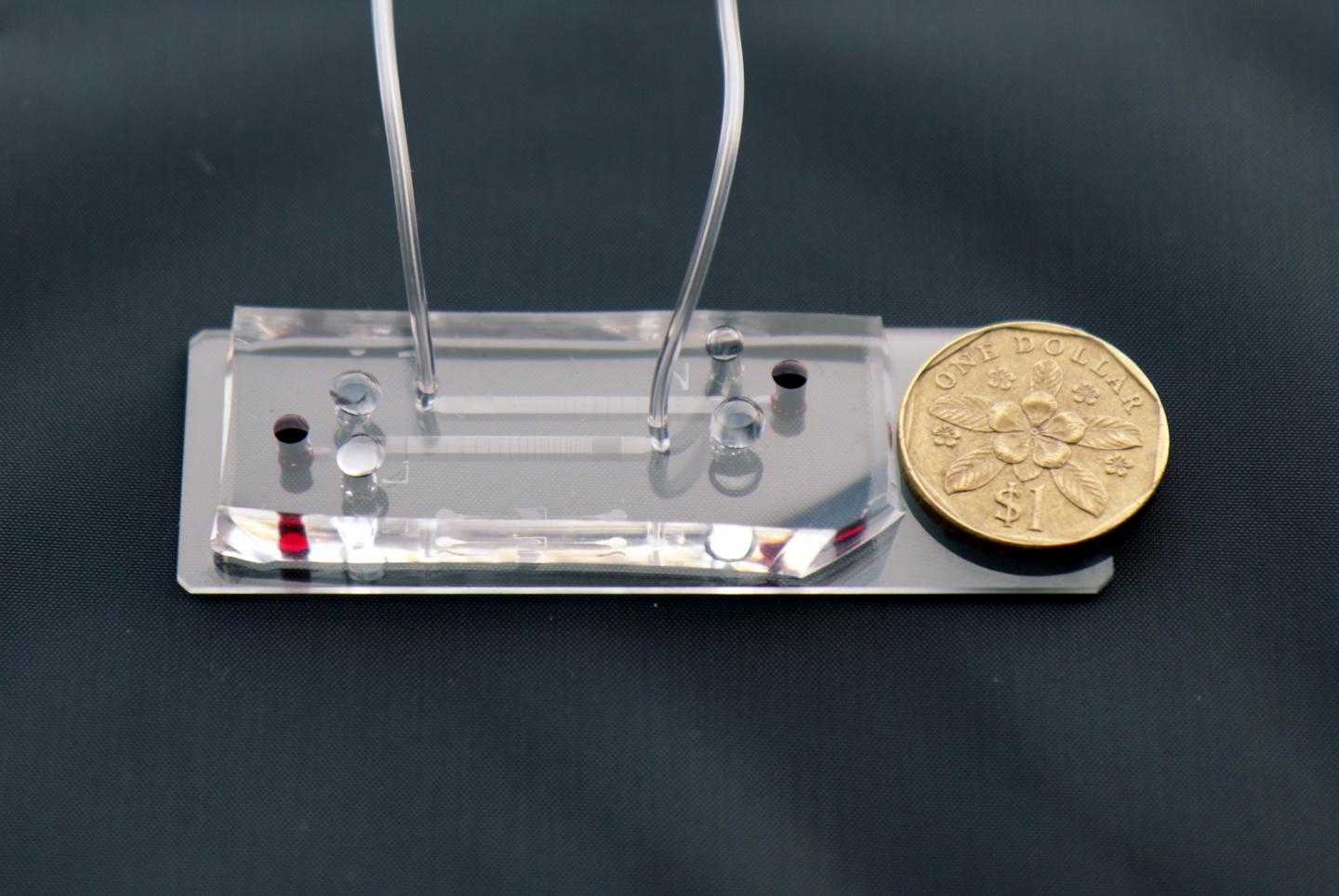 A closeup of the microfluidic DLD assay chip