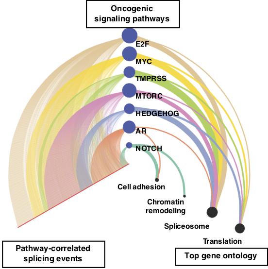 New Computational Tools Identify Alternative Splicing Changes in Aggressive Cancers