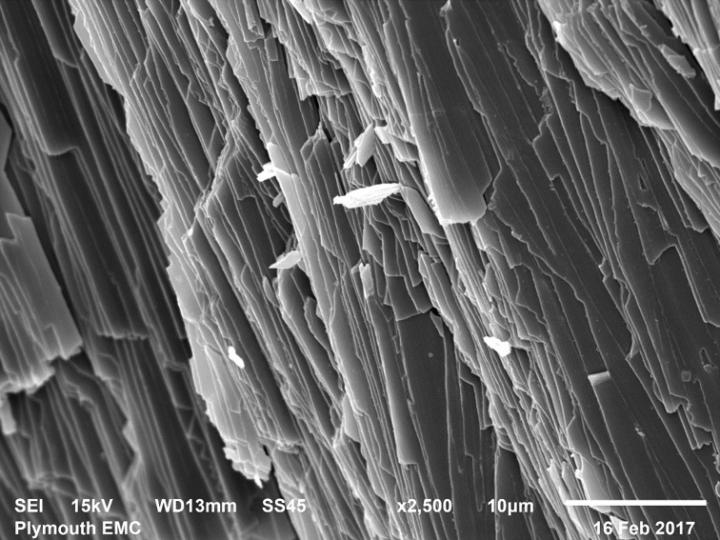 Mussel Shell in Current Ocean Conditions