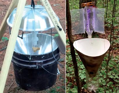 A Cheaper, Lighter Moth Trap