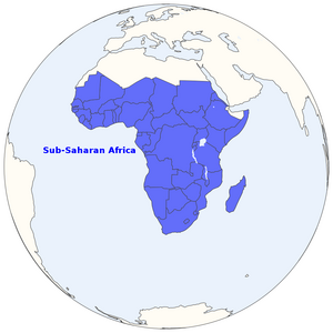 Young people in sub-Saharan Africa experience significant adversities and systemic challenges despite technological advancements and demographic transition that the region is experiencing.