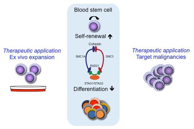 Graph from the Article