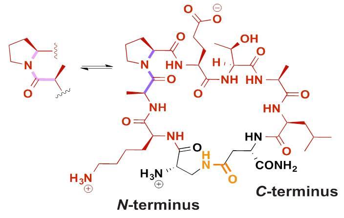 Making a 'Beeline' Past the Blood-Brain Barrier for Drug Delivery