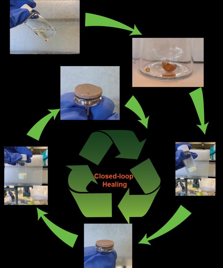 Recyclable bioplastic membrane to clear oil spills from water