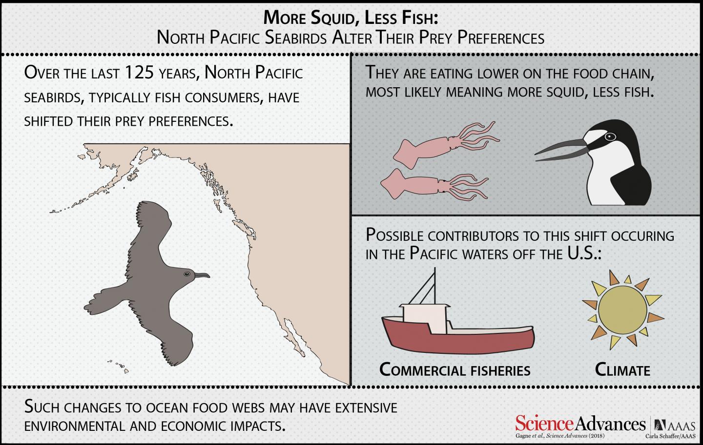 More Squid, Less Fish: North Pacific Seabirds Alter their Prey Preferences
