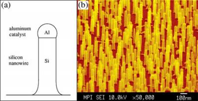 Silicon Nanowires