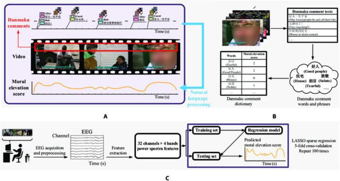 The experiment procedure and the pipeline of data processing