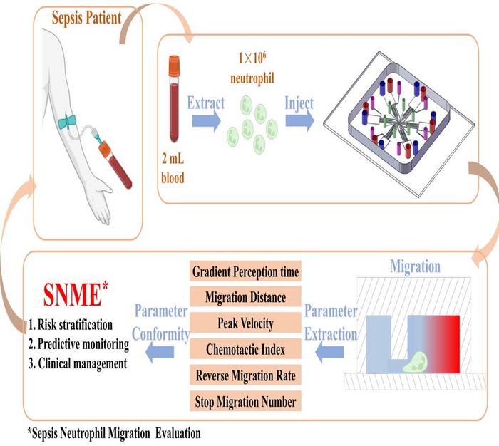 New Microfluidic Chip Method Developed for Sepsis Prognosis and Evaluation