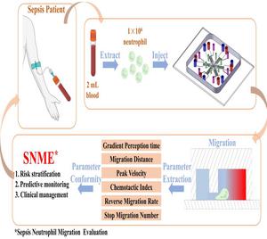 New Microfluidic Chip Method Developed for Sepsis Prognosis and Evaluation