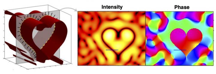 Cross-section of the designed heart-shaped phase singularity sheet