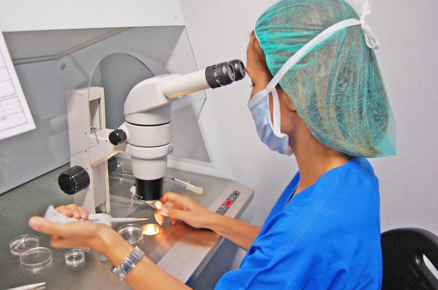 Uterine Contractions Increase the Success of Artificial Insemination