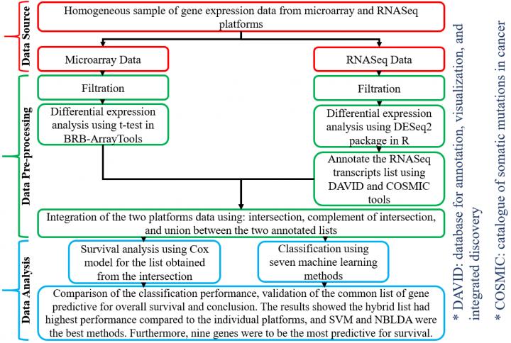 Colorectal Cancer Classification and Survival Analysis