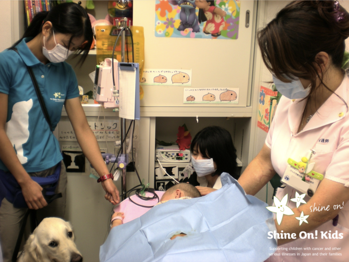 Facility Dogs in Children’s Hospitals Benefit Both Patients and Staff